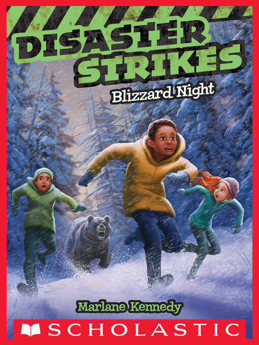 Cover image for Blizzard Night
